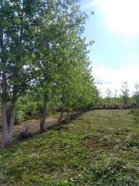 Terrenos En Villa Paranacito Delta